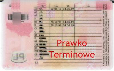 Prawo jazdy terminowe po WOMP Prawo jazdy terminowe po WOMP