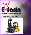 Sprawne Kursy na wózki widłowe Wrocław z uzyskaniem wszelkich możliwych certyfikatów.