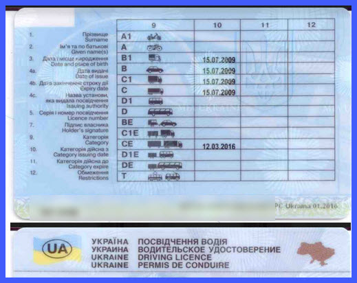 Чи просто отримати водійські права в Польщі?