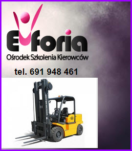 Sprawne Kursy na wózki widłowe Wrocław z uzyskaniem wszelkich możliwych certyfikatów.