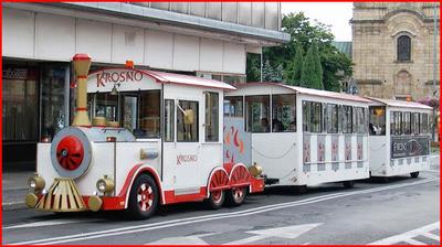 Badania kierowców kolejek turystycznych