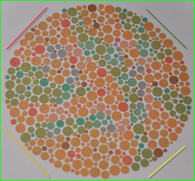 Widzenie barw u kierowców aut służbowych kategorii B