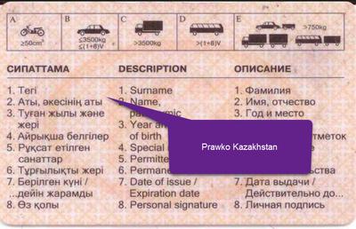 Zagraniczne prawo jazdy