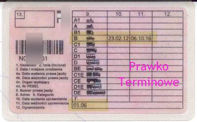 Prawo jazdy terminowe po badaniach WOMP