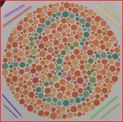 Rozpoznawanie barw u kierowców zawodowych