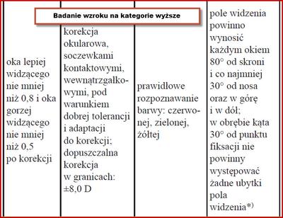 Niektóre elementy oceny wzroku kierowcy